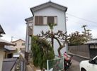 サンパークの間取り画像