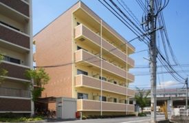 プエルラスクェアアコオⅡ番館の外観画像