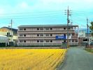 シャリテ国府の外観