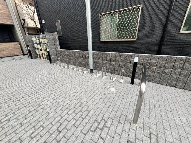 庭