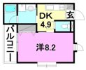 ラフィネ道後樋又の間取り画像