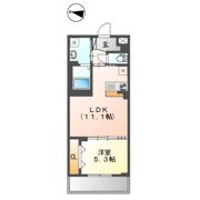 仮）梅田3丁目マンション新築工事の間取り画像