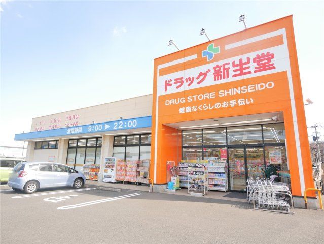 ドラッグ新生堂徳力南方店(730m)