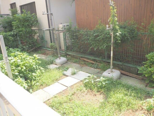 庭