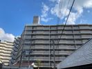 アンピール箱崎東1の間取り画像