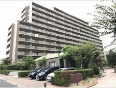 コープ野村三郷壱番館1104号室の外観画像