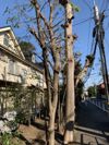 ハイツ市川の外観