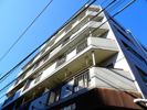 モンターニュ国領の間取り画像