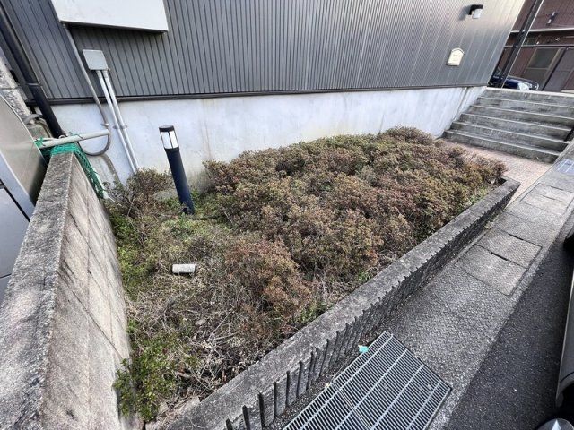 庭