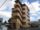 オリーブ住吉の間取り画像