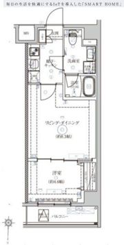 ベルシードアルファ押上イーストの間取り画像