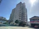 センターコート博多駅南の間取り画像