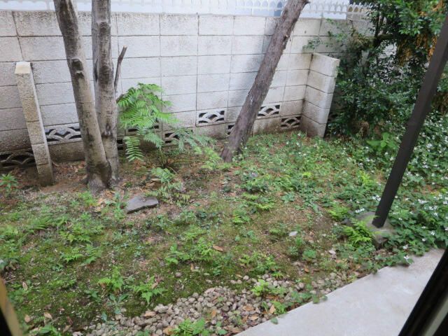 庭