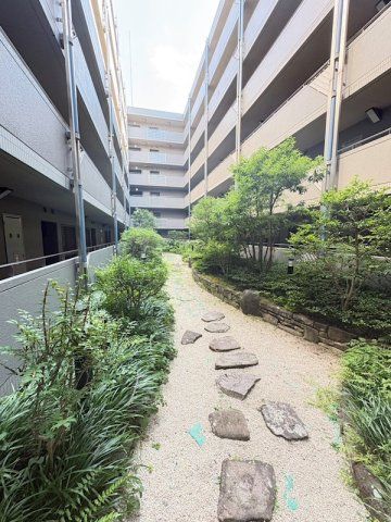 庭