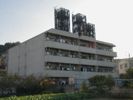 第48戸坂ビルの間取り画像
