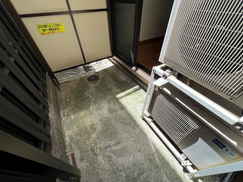 庭
