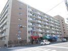 行徳マンションの間取り画像