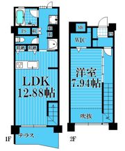 スタイリオ妙蓮寺の間取り画像