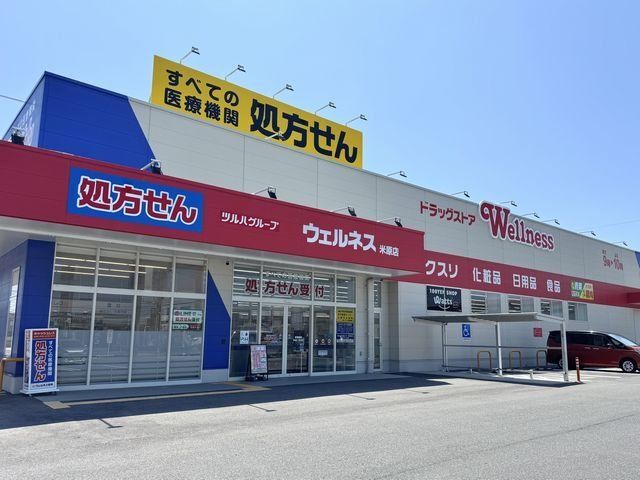 ウェルネス米原店まで1000m