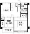 若杉ビルの間取り画像
