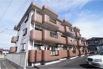 マンション吉井の間取り画像