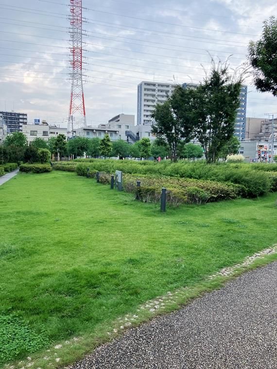 庭