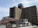 リアライズ千歳の間取り画像