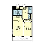 ライズ上通の間取り画像