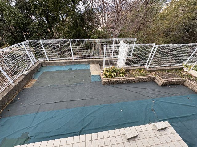 庭