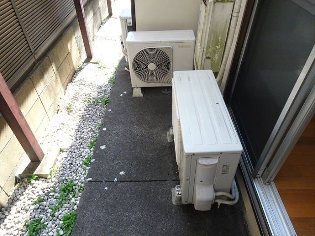 庭
