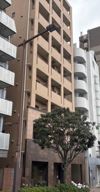 レキシントン・スクエア曙橋の間取り画像