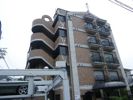 ドール魚崎の間取り画像