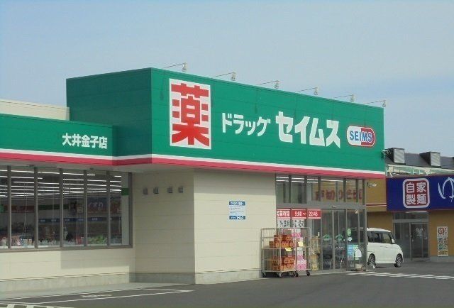 セイムス大井金子店まで500m