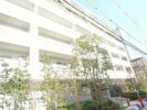 メゾンカルム市谷仲之町の間取り画像