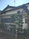 飯沢168貸家の間取り画像