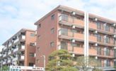 ドエルリバーサイド大島の間取り画像