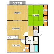 飯野ハイツC棟の間取り画像
