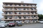 ソフト第一河辺マンションの間取り画像