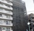 グリューネ白山の間取り画像
