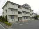 ヴェラハイツMの間取り画像