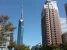 グランドメゾン百道浜の間取り画像