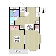 シャトーヒルマの間取り画像