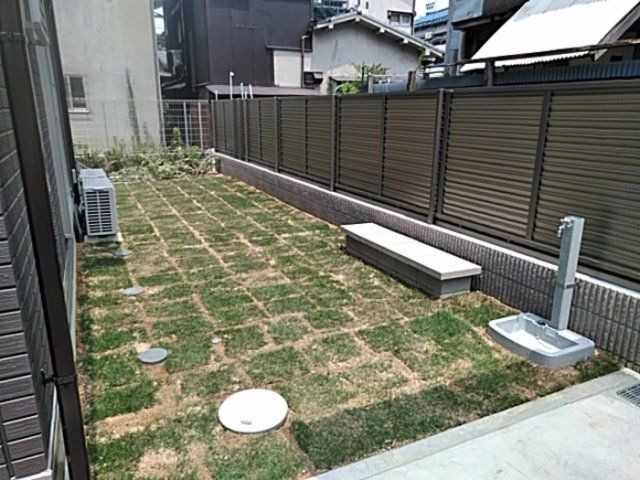 庭