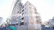 メゾンド・トラスト稲川 ★2026/2新築★の間取り画像