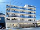 Alivis東瑞江の間取り画像
