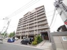 プリーモ天神の間取り画像