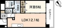 ディアメゾン新白島駅の間取り画像