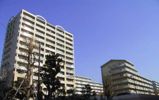 UR新川・島屋敷通りの間取り画像