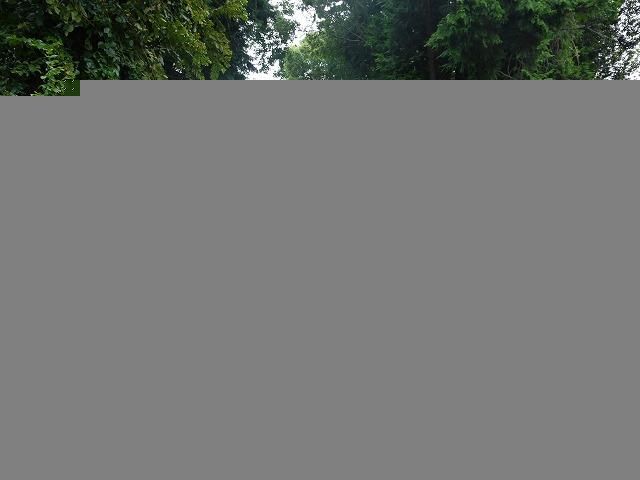 泉台小学校(500m)