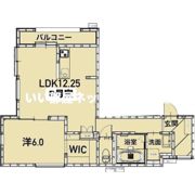 Honer wood上石町の間取り画像